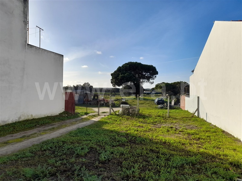 Lote  Alcácer do Sal, Alcácer do Sal (Santa Maria do Castelo e Santiago) e Santa Susana - 1350679 - 5