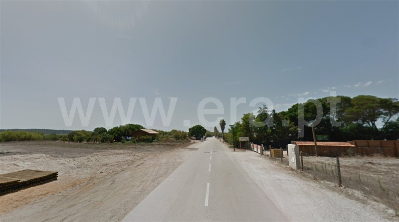 Lote / Alcácer do Sal, Comporta