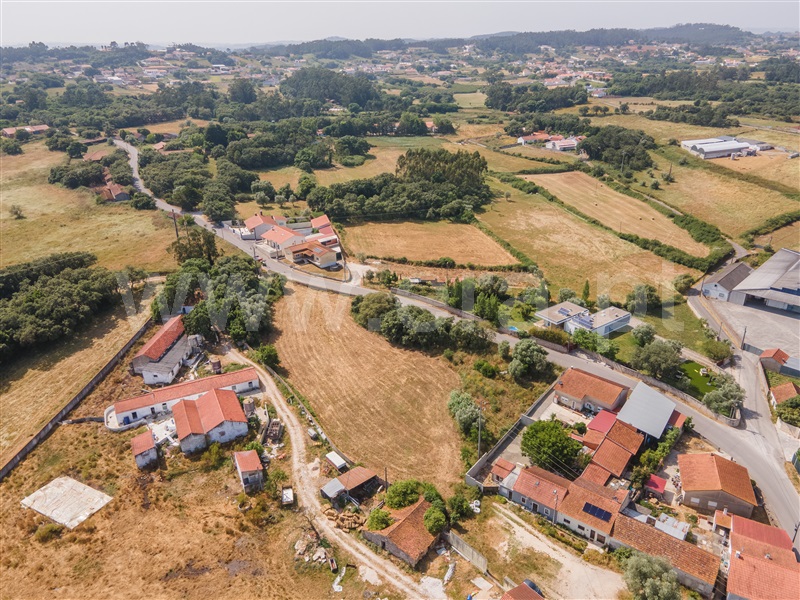 Lote  Alcobaça, Benedita - 1487312 - 3