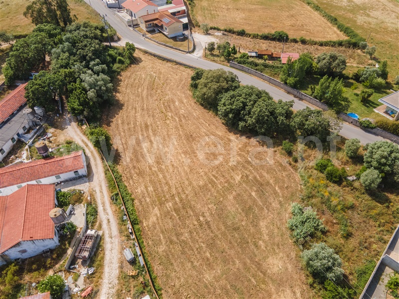 Lote  Alcobaça, Benedita - 1487312 - 4