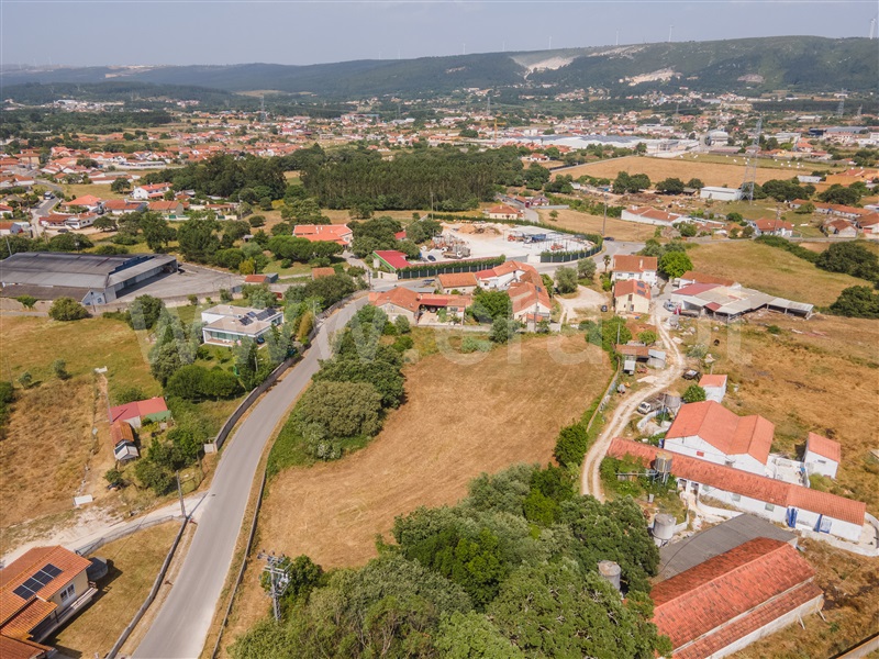 Lote  Alcobaça, Benedita - 1487312 - 6