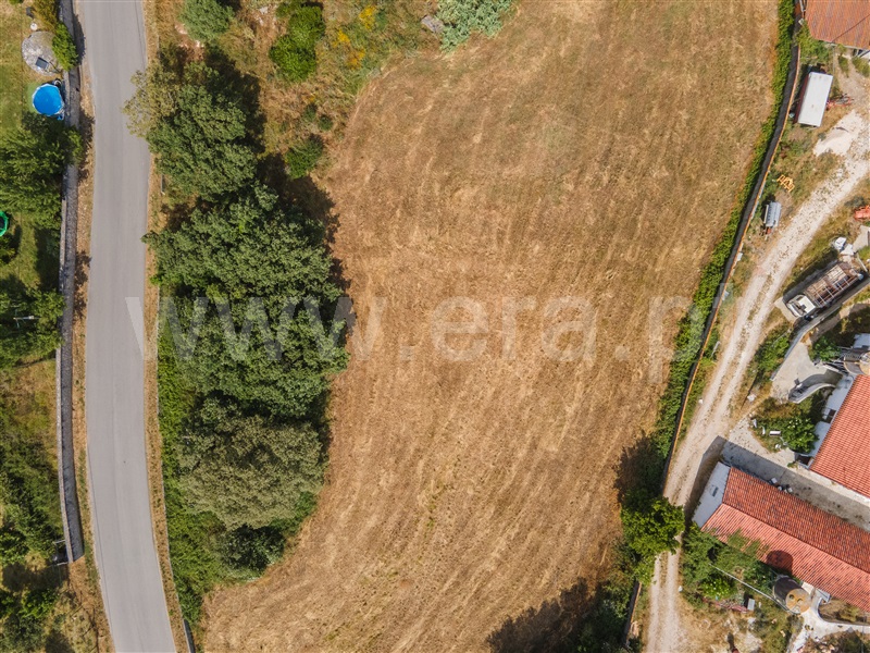 Lote  Alcobaça, Benedita - 1487312 - 12