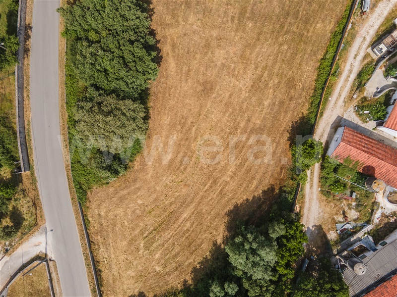 Lote  Alcobaça, Benedita - 1487312 - 13