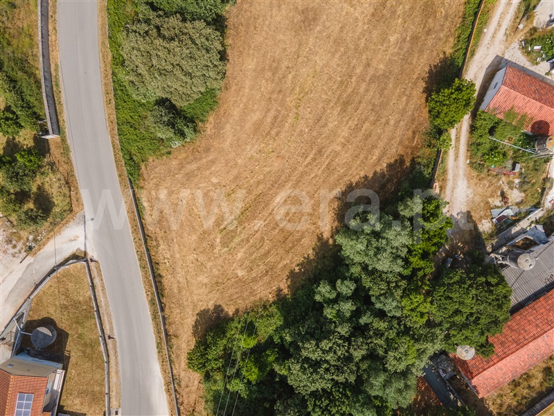 Lote  Alcobaça, Benedita - 1487312 - 14