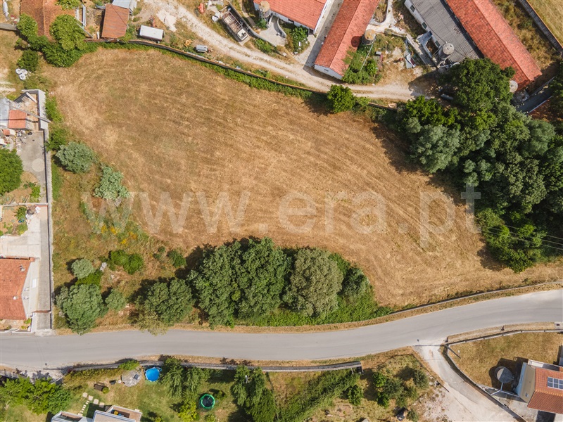 Lote  Alcobaça, Benedita - 1487314 - 5