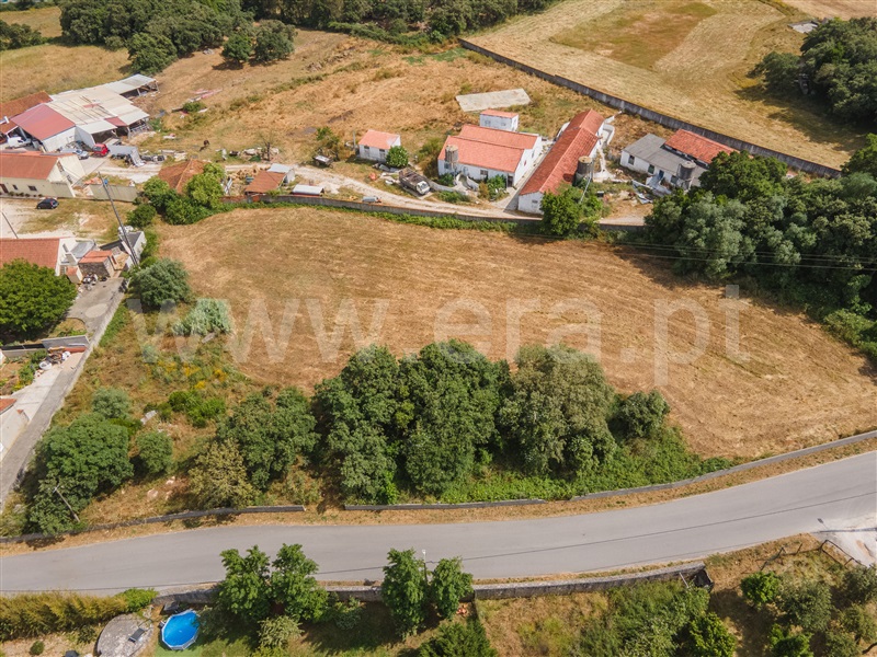 Lote / Alcobaça, Benedita