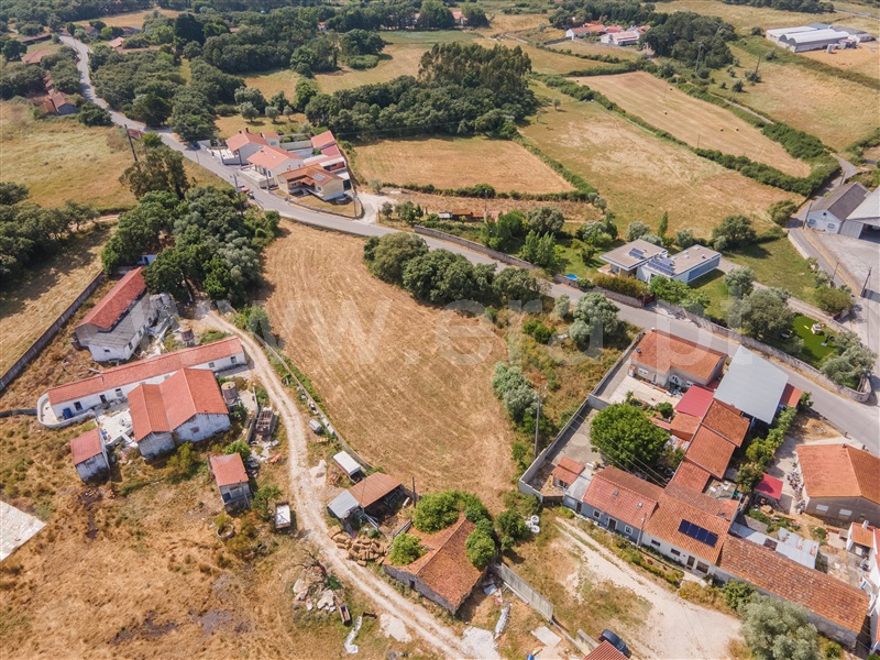 Lote  Alcobaça, Benedita - 1487314 - 14