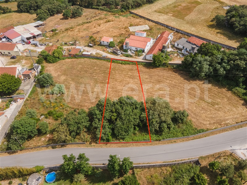 Lote / Alcobaça, Benedita