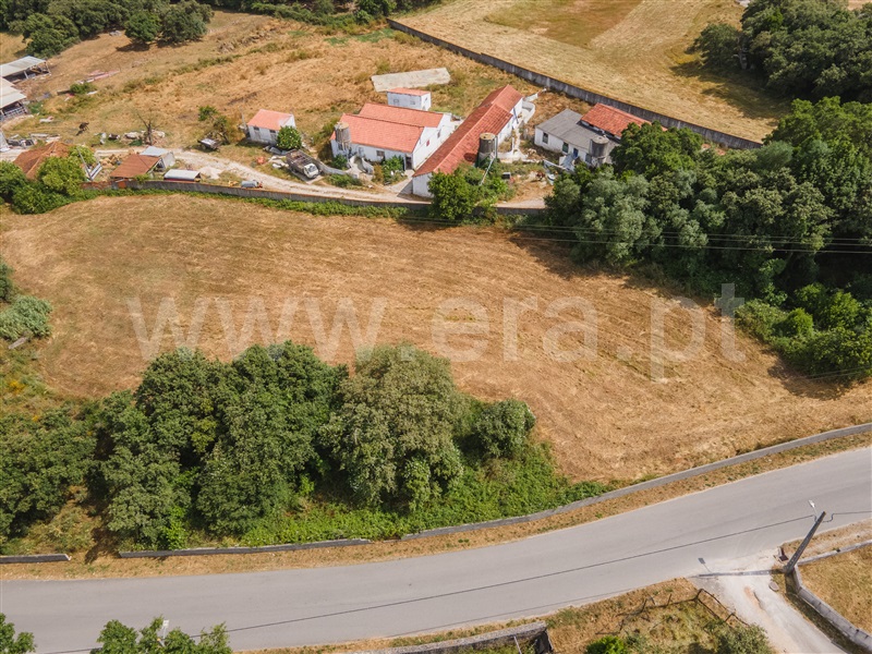 Lote / Alcobaça, Benedita