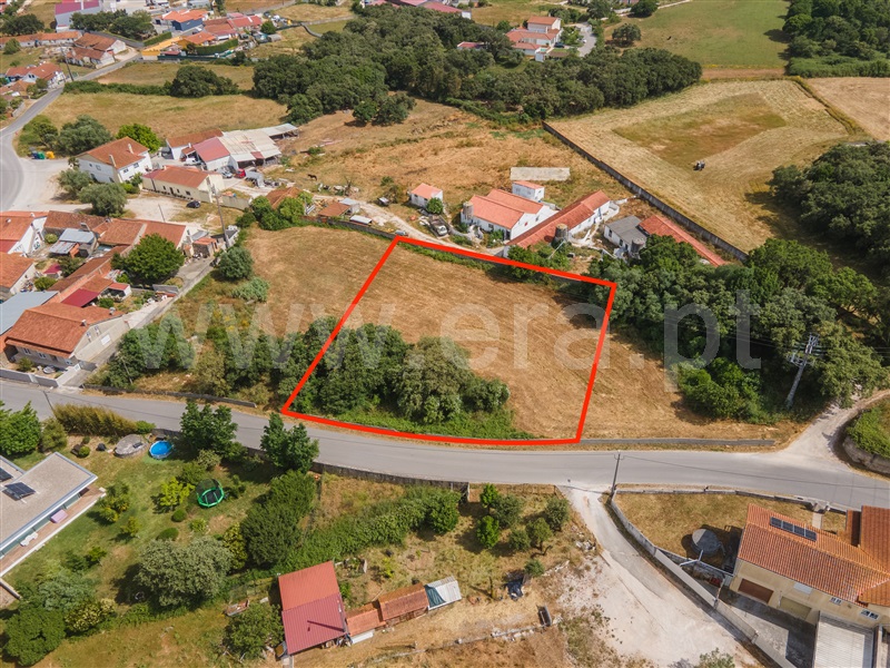 Lote / Alcobaça, Benedita