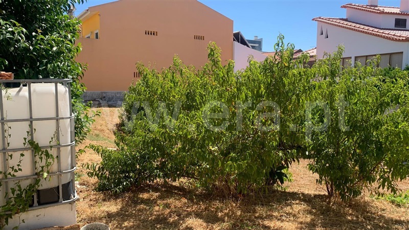 Lote  Alenquer, Carregado e Cadafais - 1488209 - 3