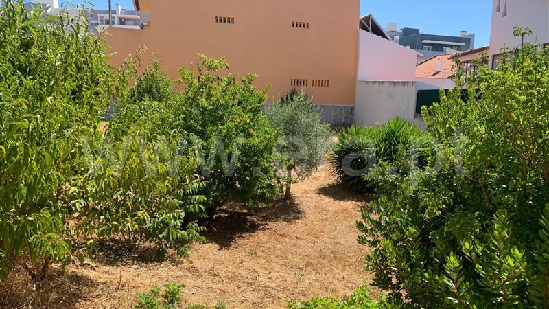Lote  Alenquer, Carregado e Cadafais - 1488209 - 4