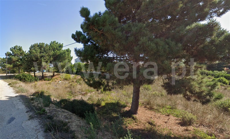 Lote / Aljezur, Aljezur
