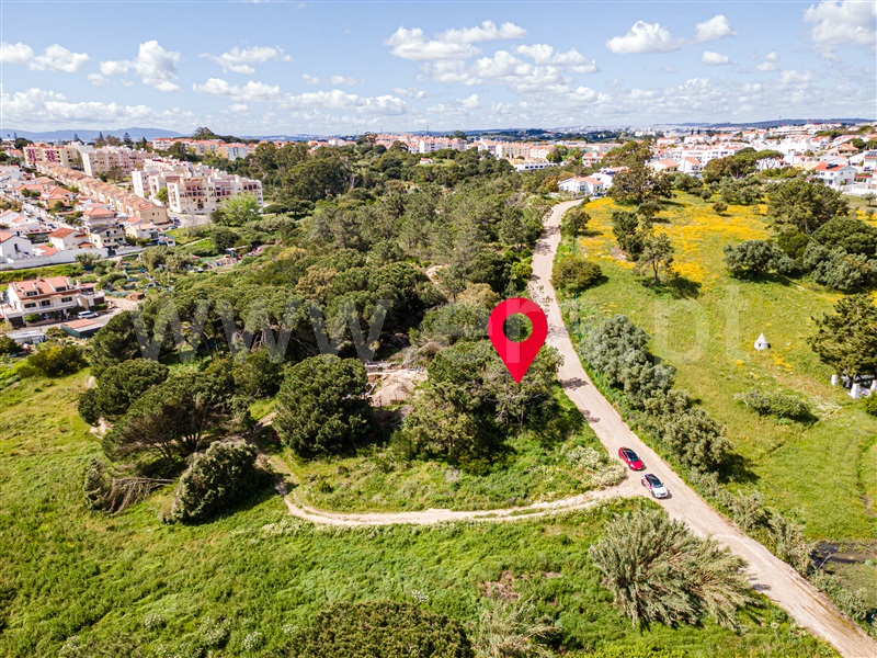 Lote / Almada, Caparica e Trafaria