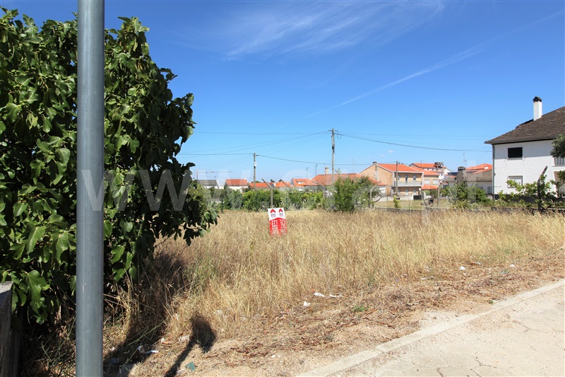 Lote  Almeida, Vilar Formoso - 1029854 - 4