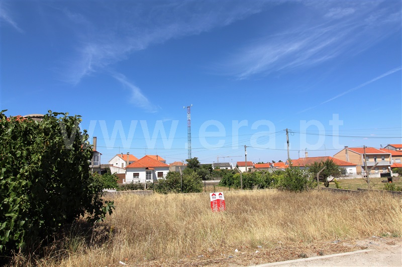 Lote  Almeida, Vilar Formoso - 1029854 - 5