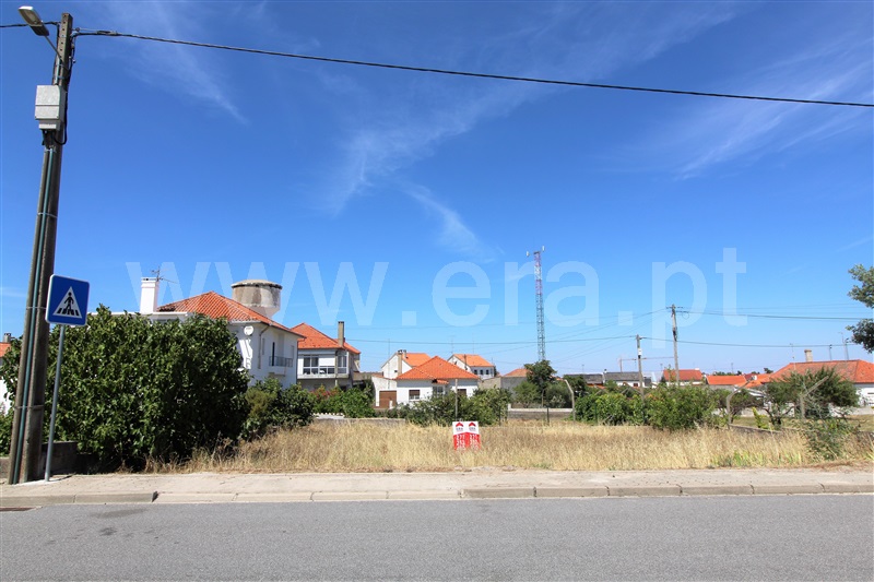 Lote  Almeida, Vilar Formoso - 1029854 - 6