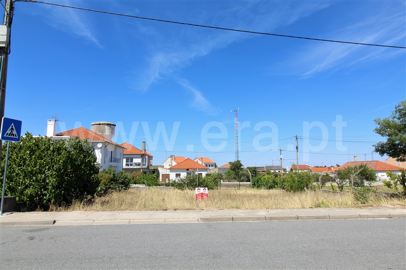 Lote  Almeida, Vilar Formoso - 1029854 - 7