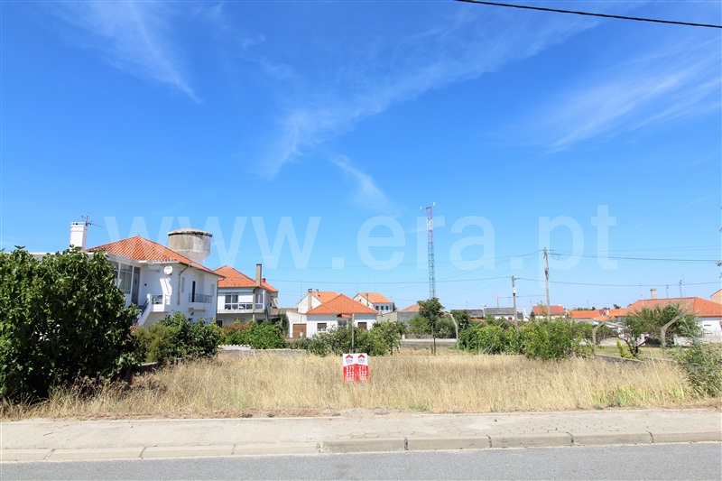 Lote  Almeida, Vilar Formoso - 1029854 - 8