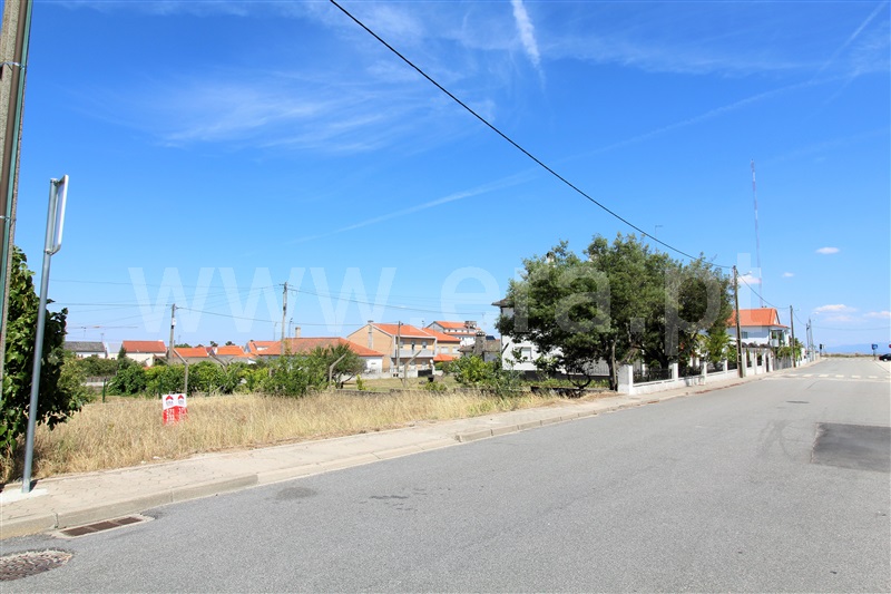 Lote  Almeida, Vilar Formoso - 1029854 - 9