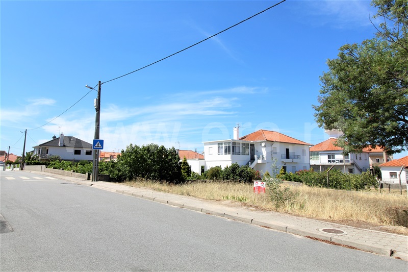 Lote  Almeida, Vilar Formoso - 1029854 - 11