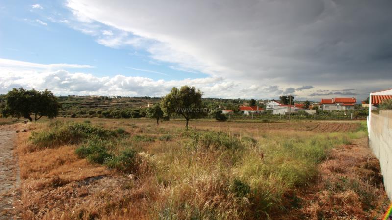 Lote  Almeida, Vilar Formoso - 672924 - 3