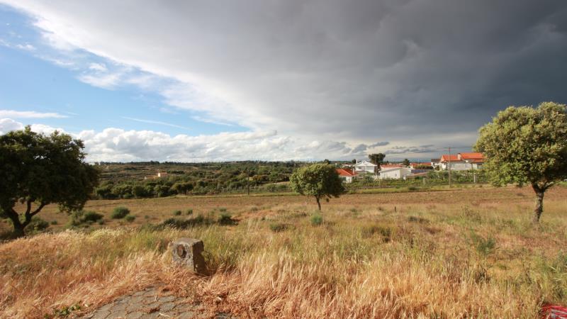 Lote  Almeida, Vilar Formoso - 672924 - 4