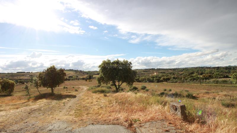 Lote  Almeida, Vilar Formoso - 672924 - 5