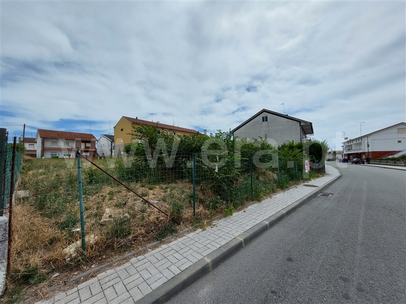 Lote  Almeida, Vilar Formoso - 837623 - 4