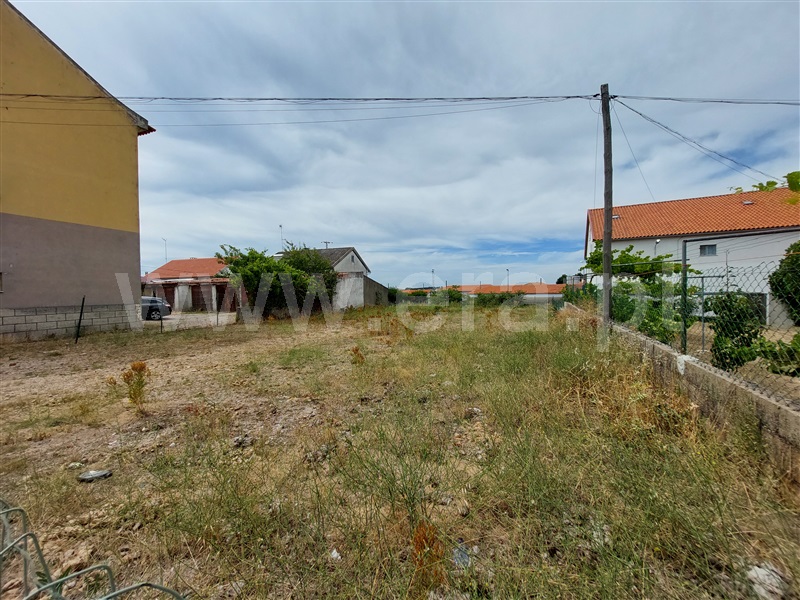 Lote  Almeida, Vilar Formoso - 837623 - 6
