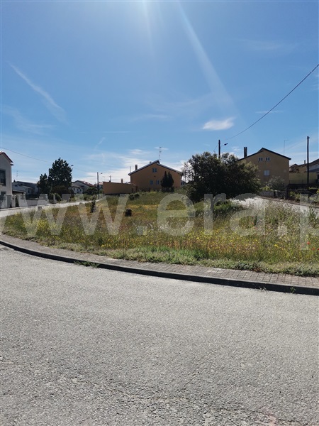 Lote  Almeida, Vilar Formoso - 1404095 - 2