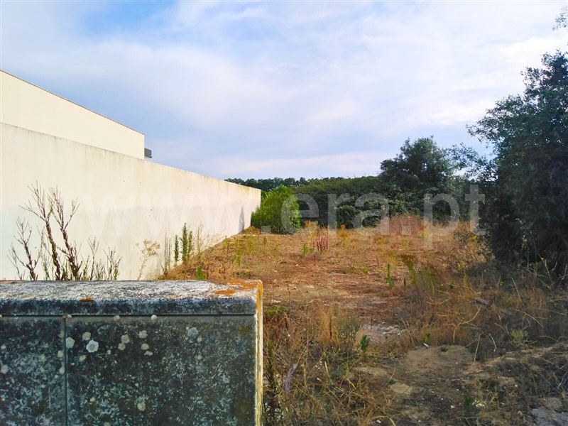 Lote / Almeirim, Almeirim