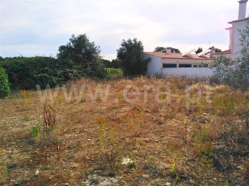 Lote  Almeirim, Almeirim - 1489706 - 2