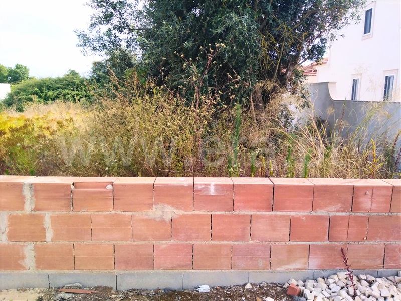 Lote  Almeirim, Almeirim - 1489706 - 3