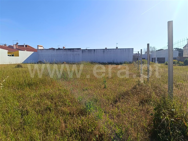 Lote / Almeirim, Cortiçóis