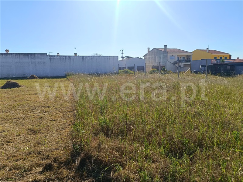 Lote  com Urbano Almeirim, Cortiçóis - 1478636 - 5