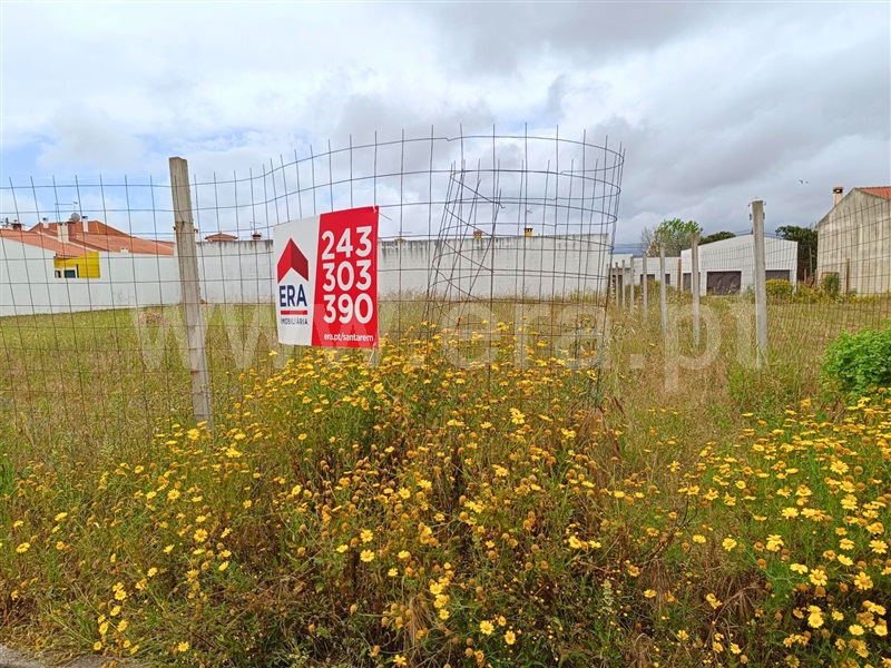 Lote  com Urbano Almeirim, Cortiçóis - 1478636 - 7