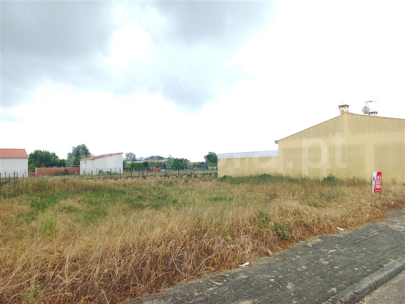 Lote / Almeirim, Foros de Benfica