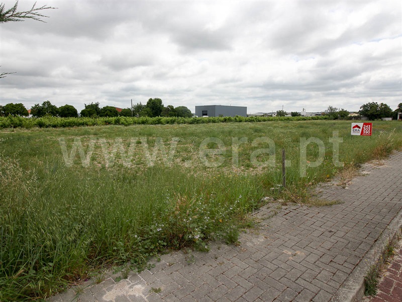 Lote  Alpiarça, Alpiarça - 1169205 - 1