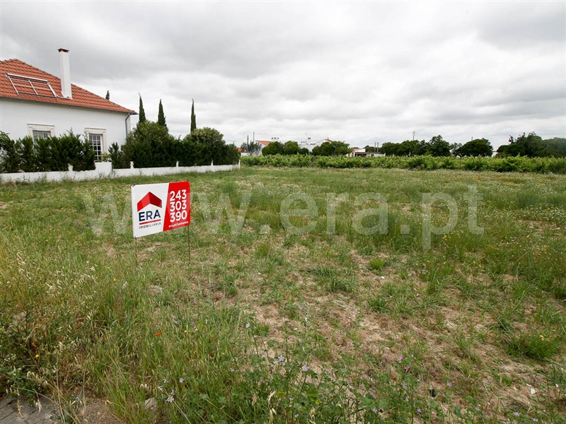 Lote / Alpiarça, Alpiarça