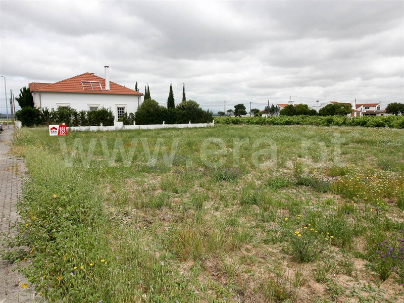 Lote  Alpiarça, Alpiarça - 1169205 - 6