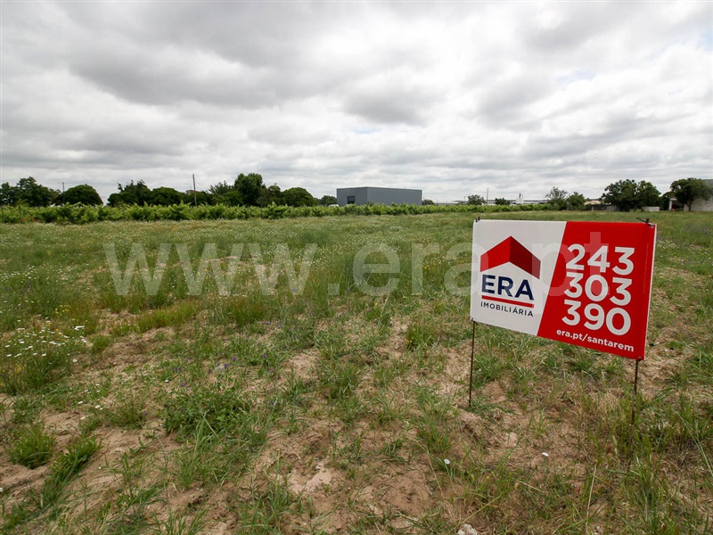 Lote  Alpiarça, Alpiarça - 1169205 - 7
