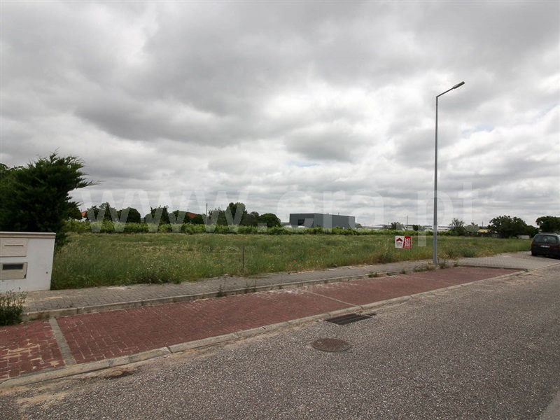 Lote  Alpiarça, Alpiarça - 1169205 - 8
