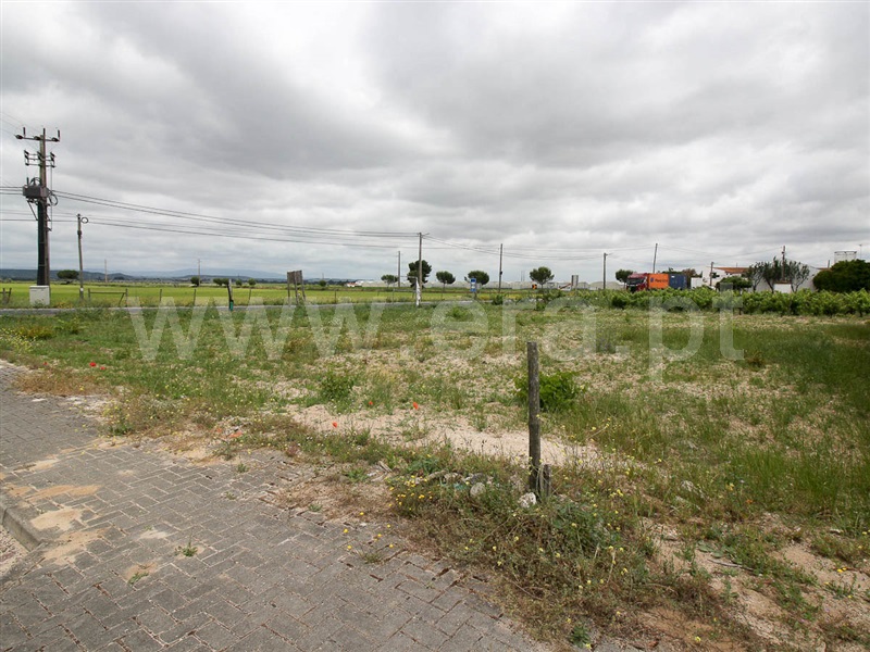 Lote  Alpiarça, Alpiarça - 1169205 - 9