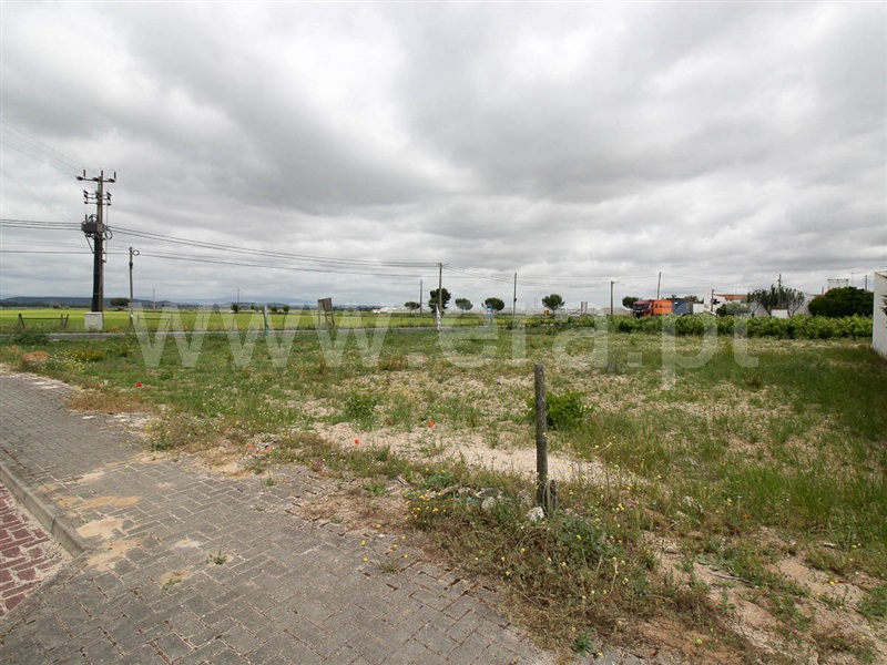 Lote  Alpiarça, Alpiarça - 1169205 - 10
