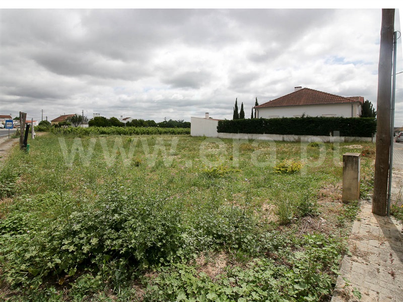 Lote  Alpiarça, Alpiarça - 1169205 - 11