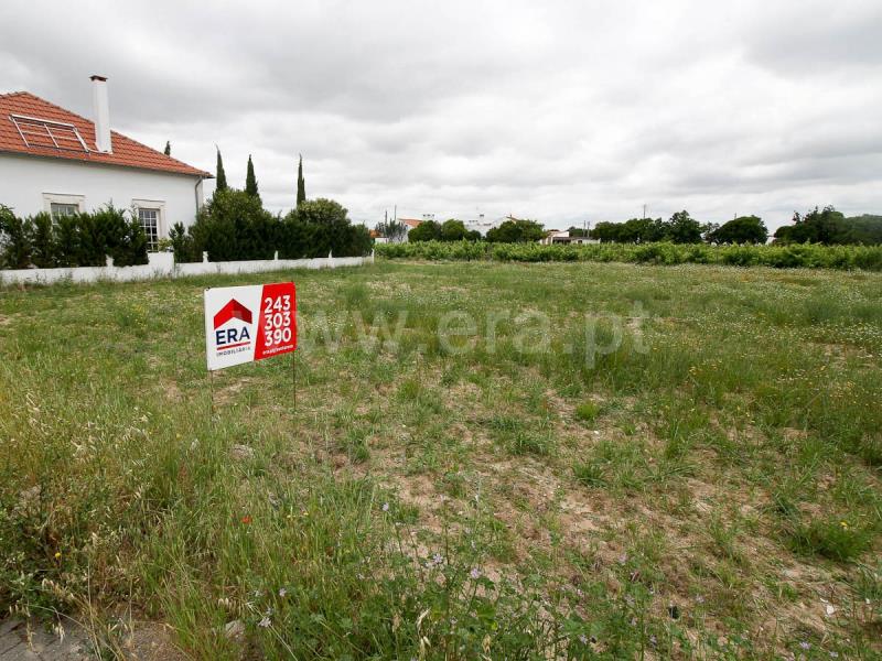 Lote / Alpiarça, Alpiarça