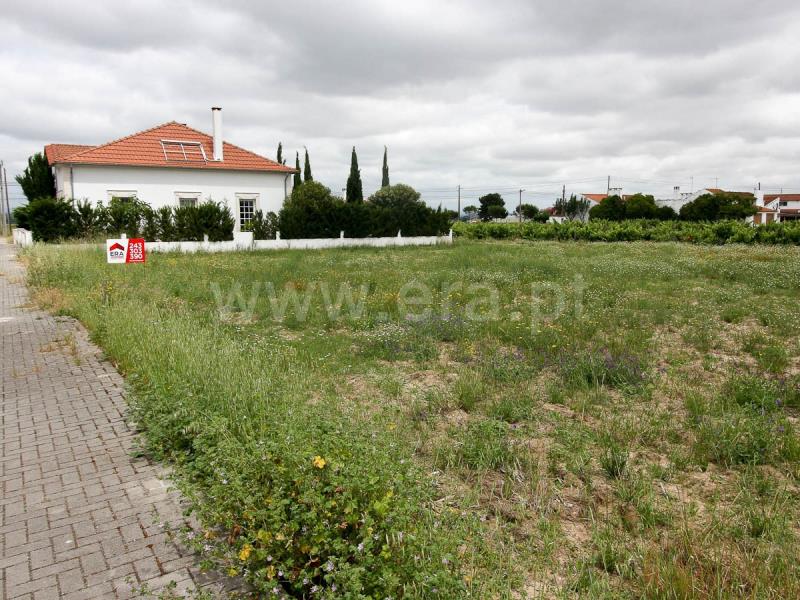 Lote  Alpiarça - 1169209 - 2