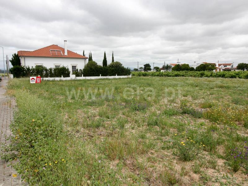 Lote  Alpiarça - 1169209 - 4