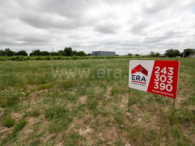 Lote  Alpiarça - 1169209 - 5